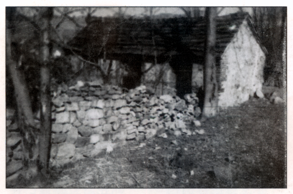 1941年，东海地委和专署决定，由东海军分区军医赵熙成在乳山市瑞木山村正式建院为&ldquo;东海医院&rdquo;，现为&ldquo;烟台桃村中心医院&rdquo;